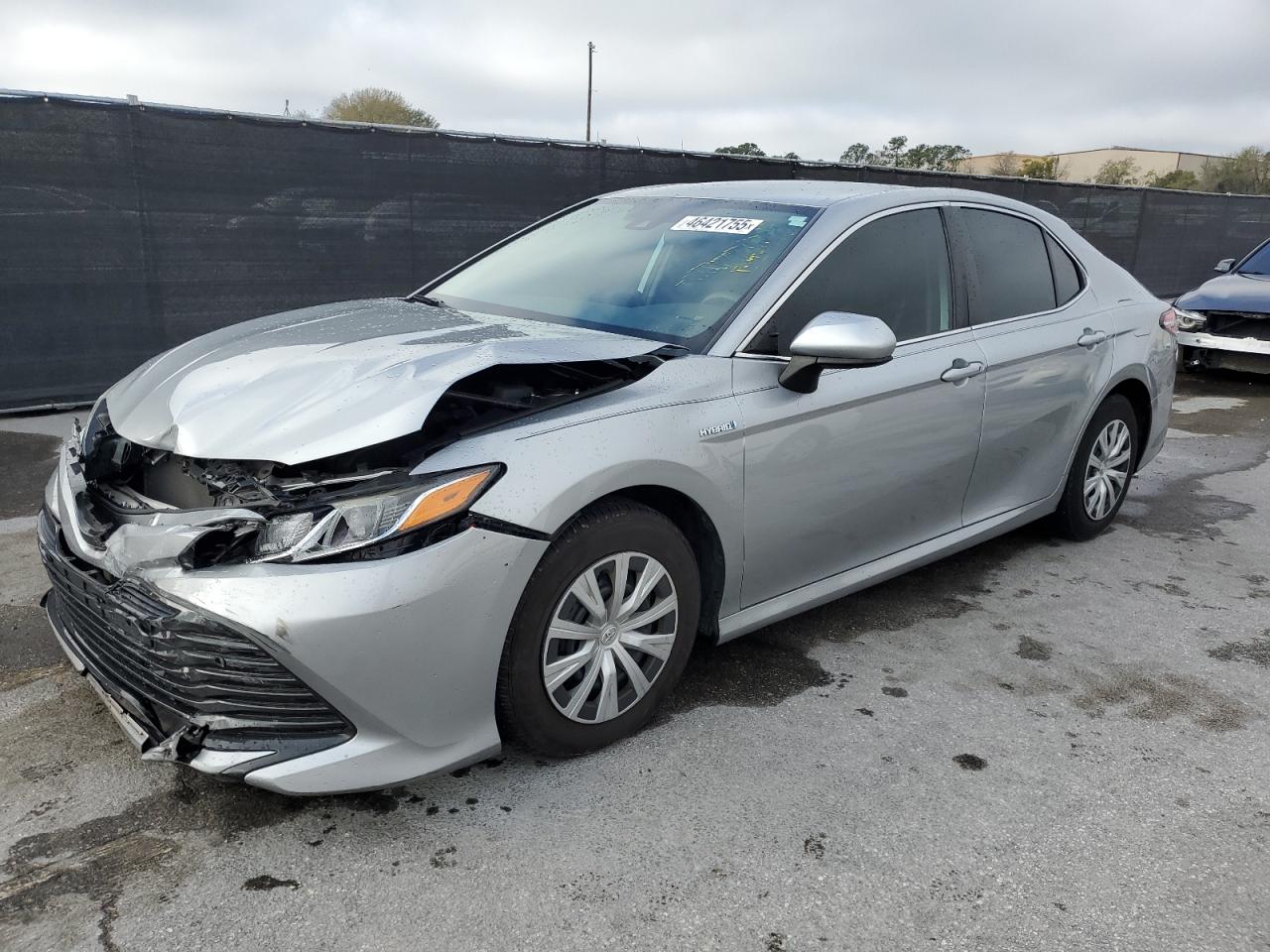 2019 Toyota Camry VIN 4T1B31HK3KU006569