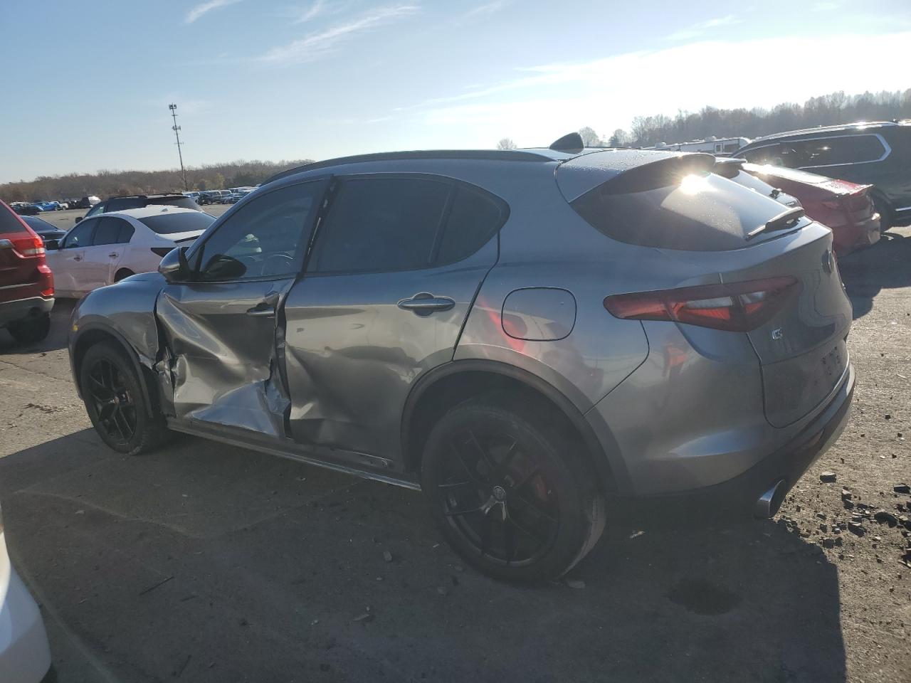 2018 Alfa Romeo Stelvio VIN ZASFAKPN8J7B93860 Copart auction photo, side damage thumbnail 2