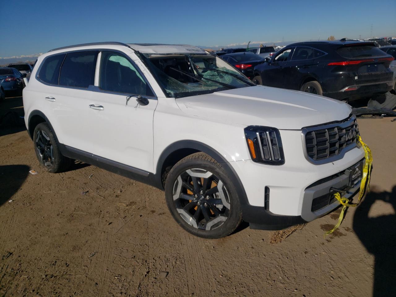 2024 KIA Telluride VIN 5XYP6DGCXRG558286 Copart auction photo, all over damage thumbnail 4
