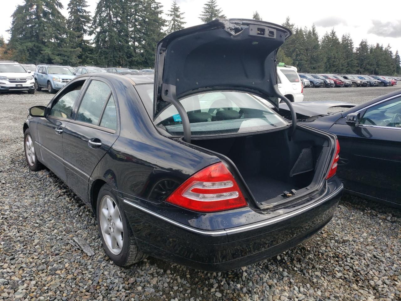 2003 Mercedes-Benz C-klasse VIN WDBRF61J43E013047 Copart auction photo, burn damage thumbnail 2