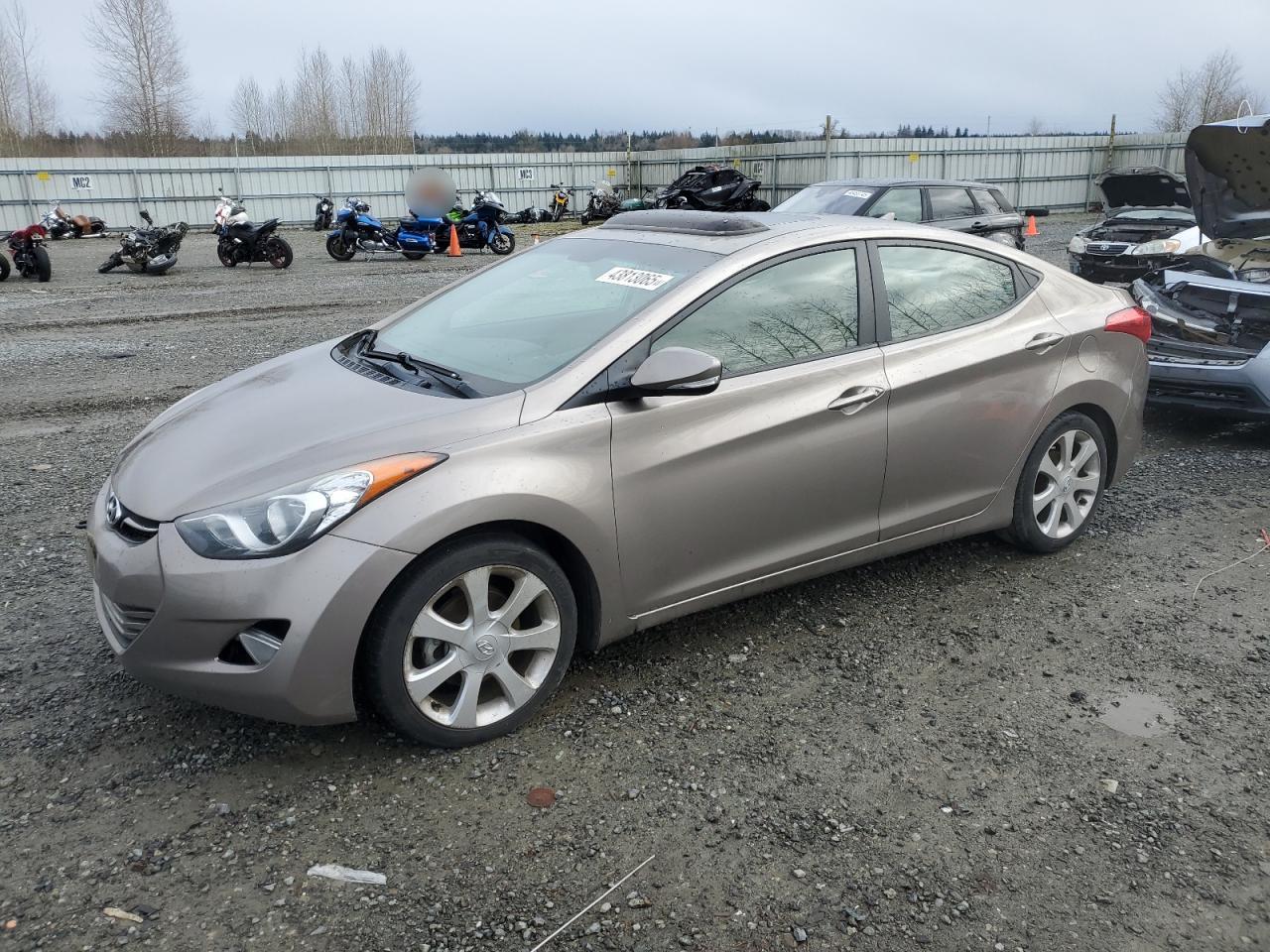 2013 Hyundai Elantra VIN 5NPDH4AE8DH162320