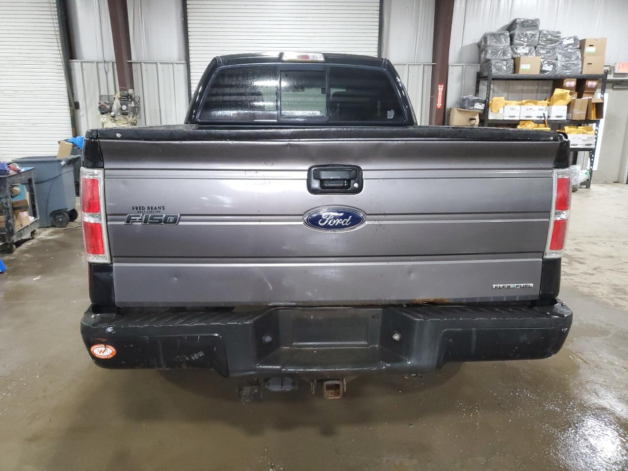 2010 Ford F-150 VIN 1FTEX1E89AFC76858 Copart auction photo, side damage thumbnail 6