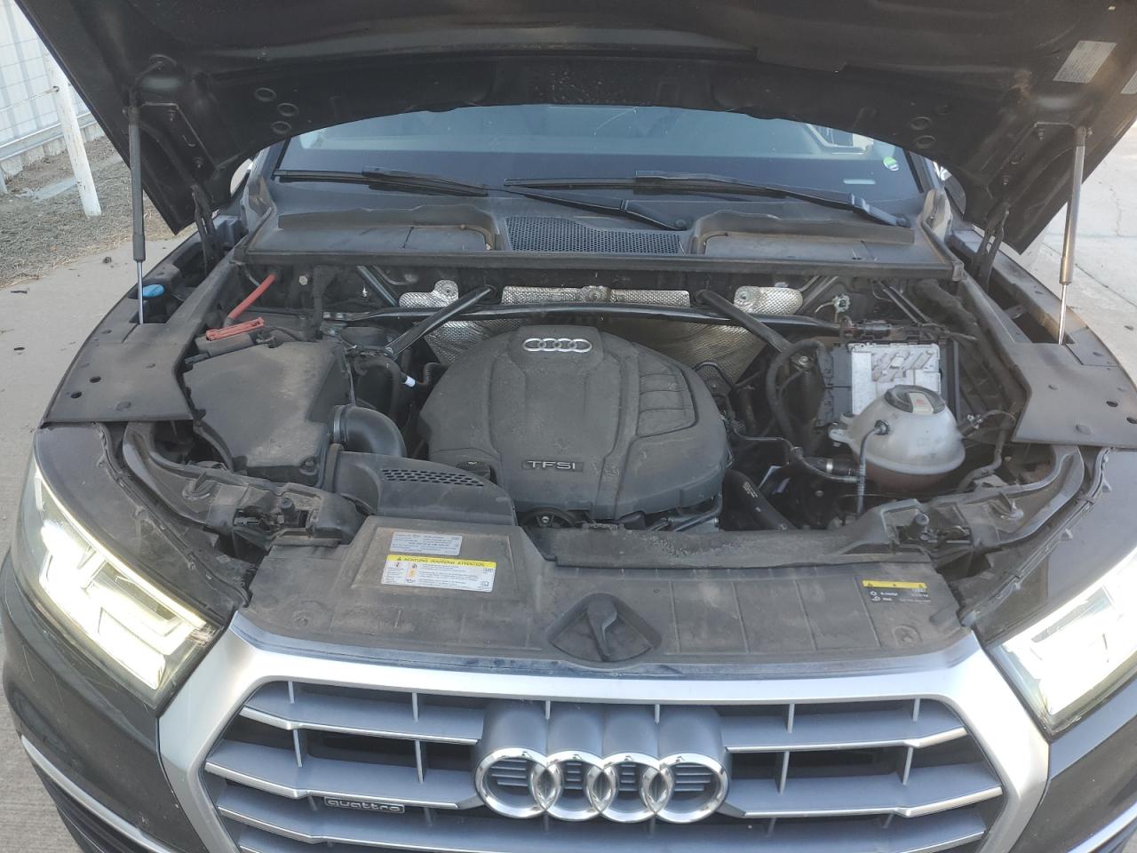 2019 Audi Q5 VIN WA1BNAFY5K2023627 Copart auction photo, hail / minor dent/scratches damage thumbnail 12