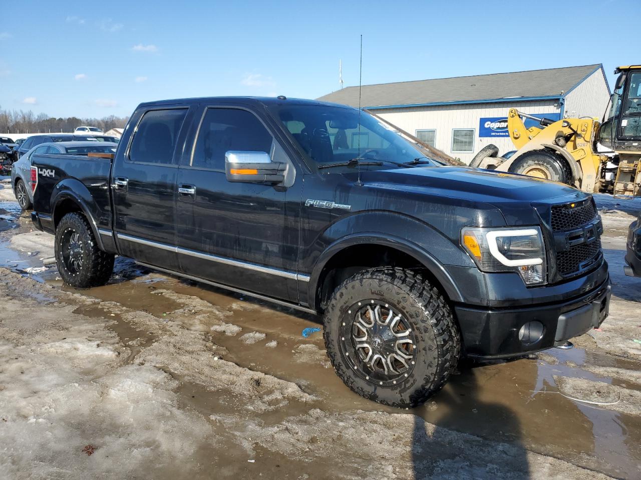 2010 Ford F-150 VIN 1FTFW1EV5AFB19423 Copart auction photo, side damage thumbnail 4