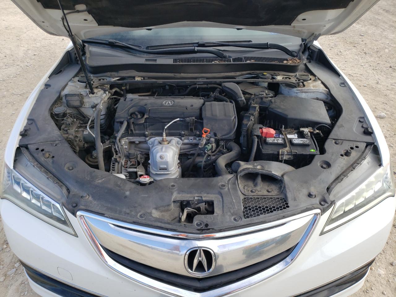 2015 Acura TLX VIN 19UUB1F3XFA007769 Copart auction photo, rear end damage thumbnail 11