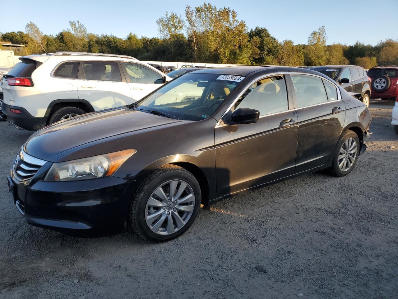 2012 Honda Accord VIN 1HGCP2F77CA187990