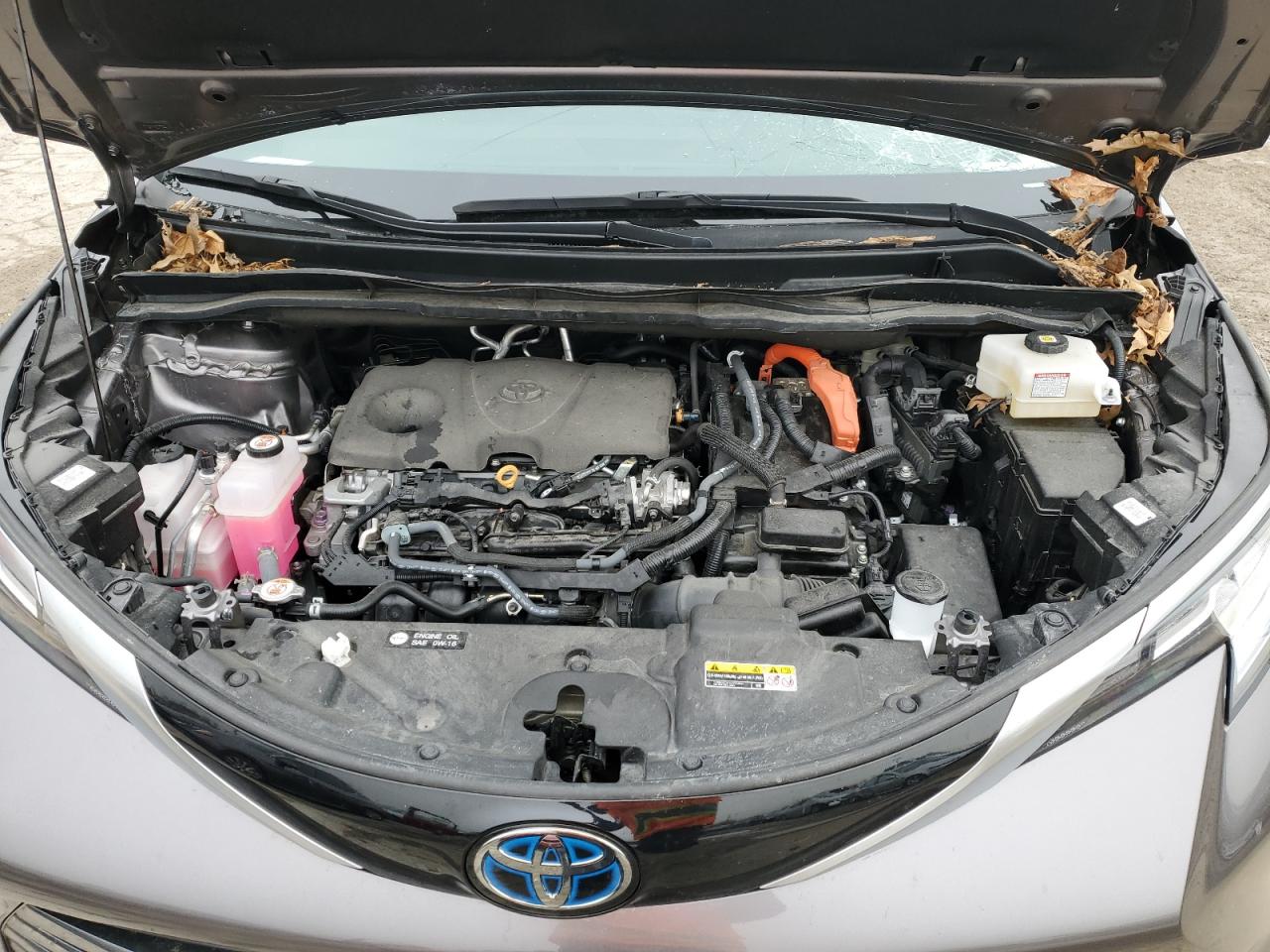 2023 Toyota Sienna VIN 5TDZSKFCXPS095334 Copart auction photo, rear end / minor dent/scratches damage thumbnail 13