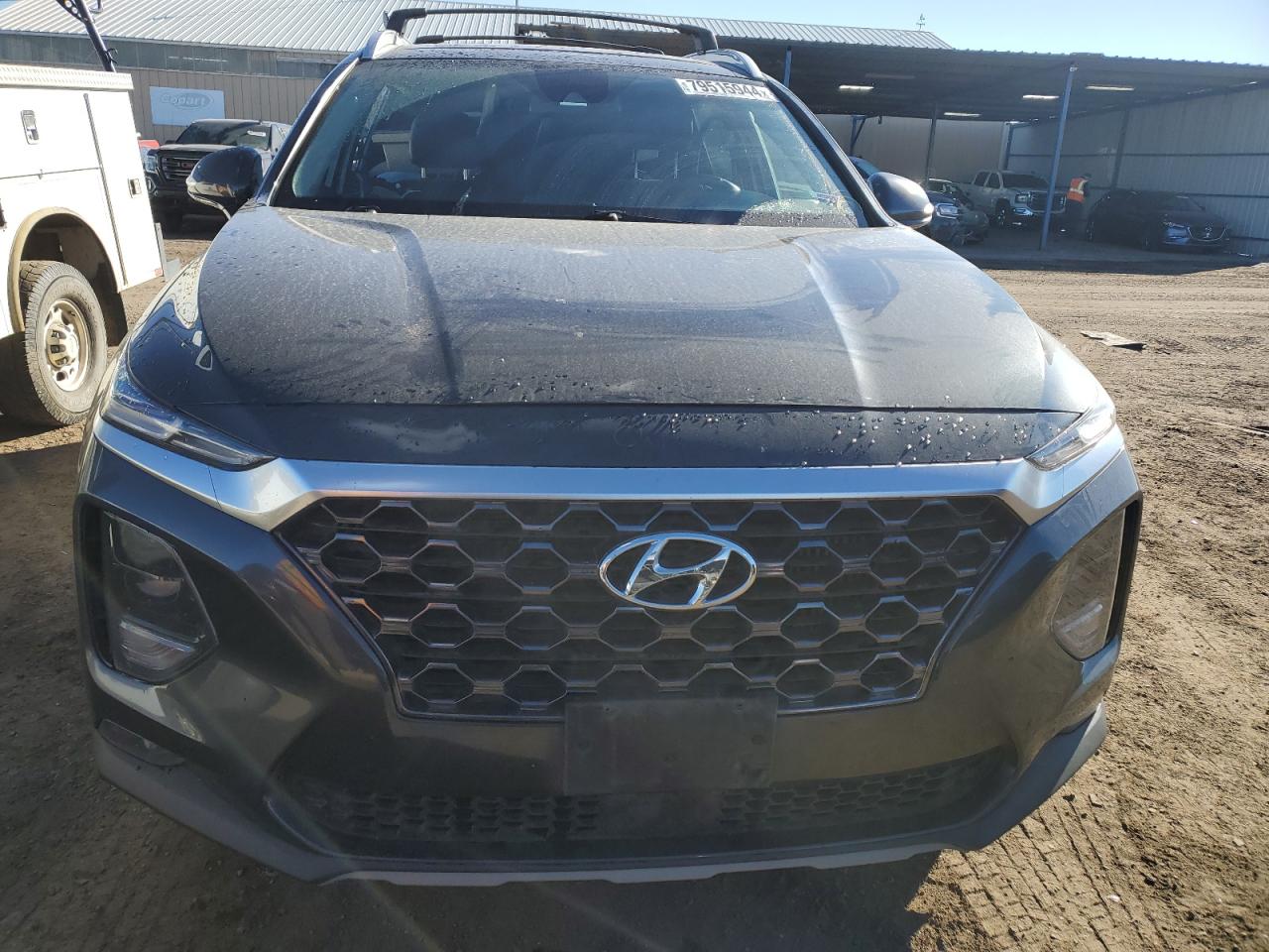 2020 Hyundai Santa Fe VIN 5NMS3CAA6LH299149 Copart auction photo, rear end damage thumbnail 5