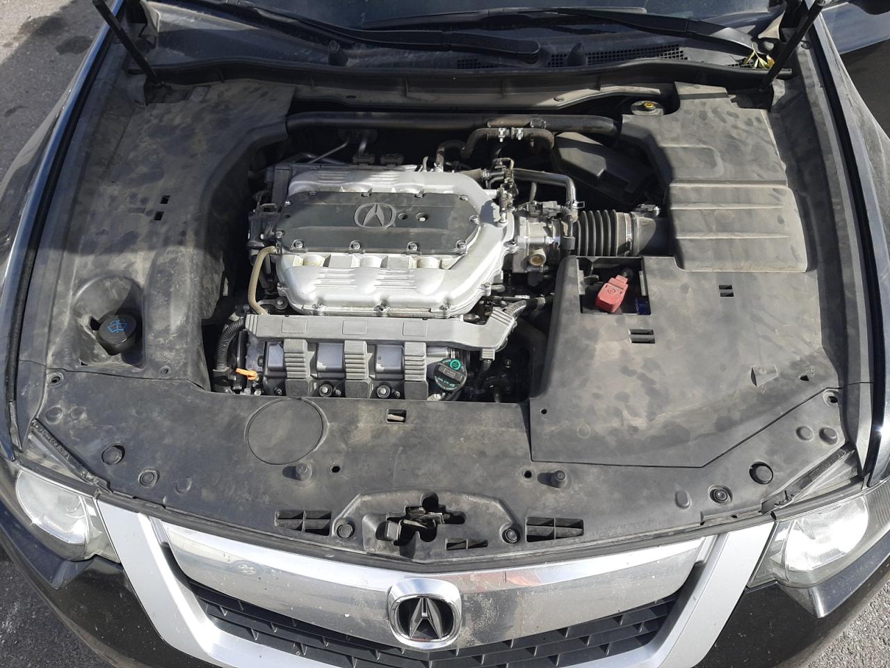 2010 Acura TSX VIN JH4CU4F44AC000925 Copart auction photo, rear end damage thumbnail 11