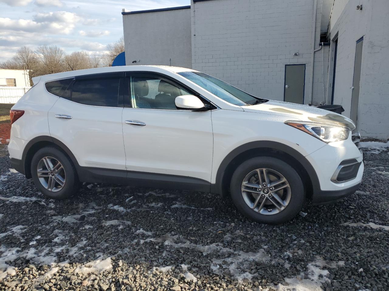 2018 Hyundai Santa Fe VIN 5NMZTDLB1JH084026 Copart auction photo, side damage thumbnail 4