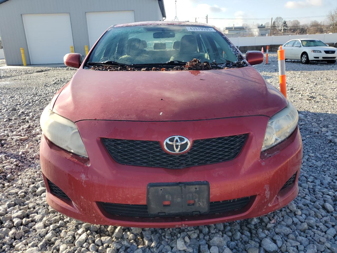 2010 Toyota Corolla VIN 2T1BU4EE6AC278384 Copart auction photo, minor dent/scratches damage thumbnail 5