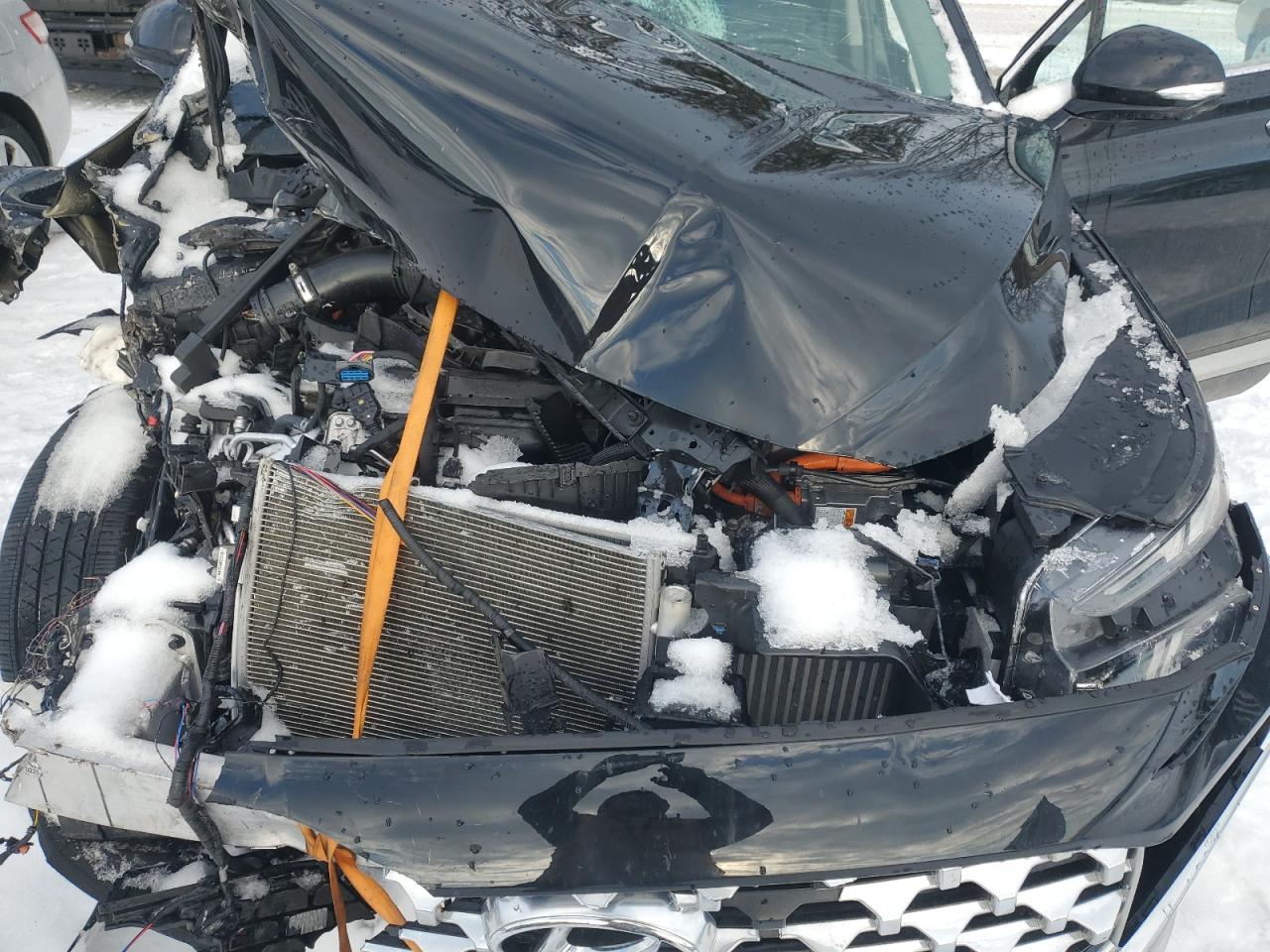 2023 Hyundai Santa Fe VIN 5NMS5DA10PH013334 Copart auction photo, front end damage thumbnail 12
