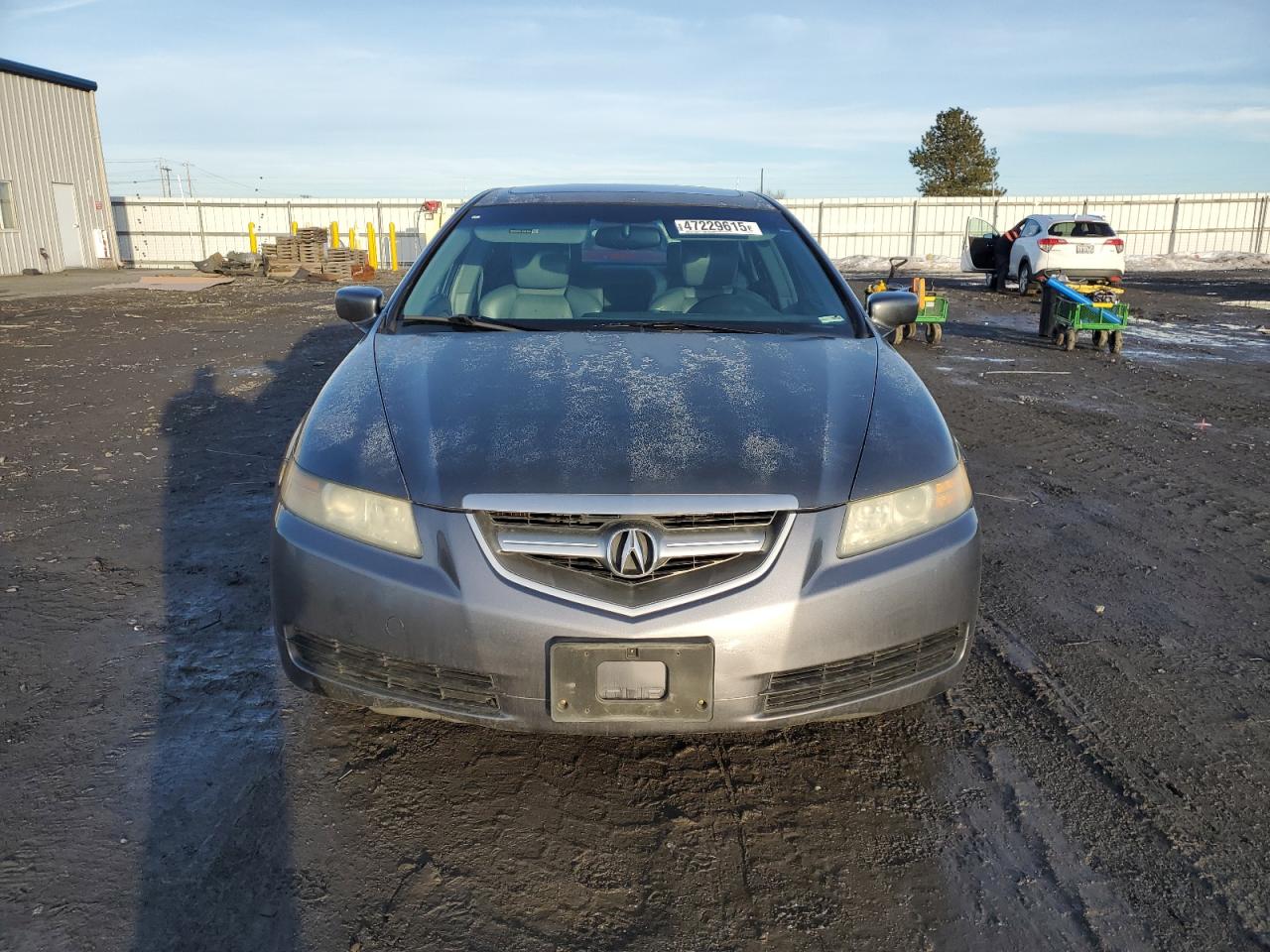 2004 Acura TL VIN 19UUA66294A033011 Copart auction photo, all over / side damage thumbnail 5