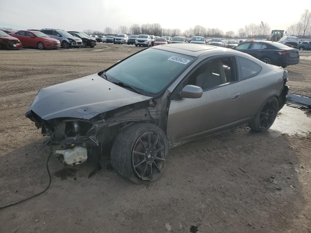 2002 Acura RSX VIN JH4DC53082C000698 - Copart auction photo