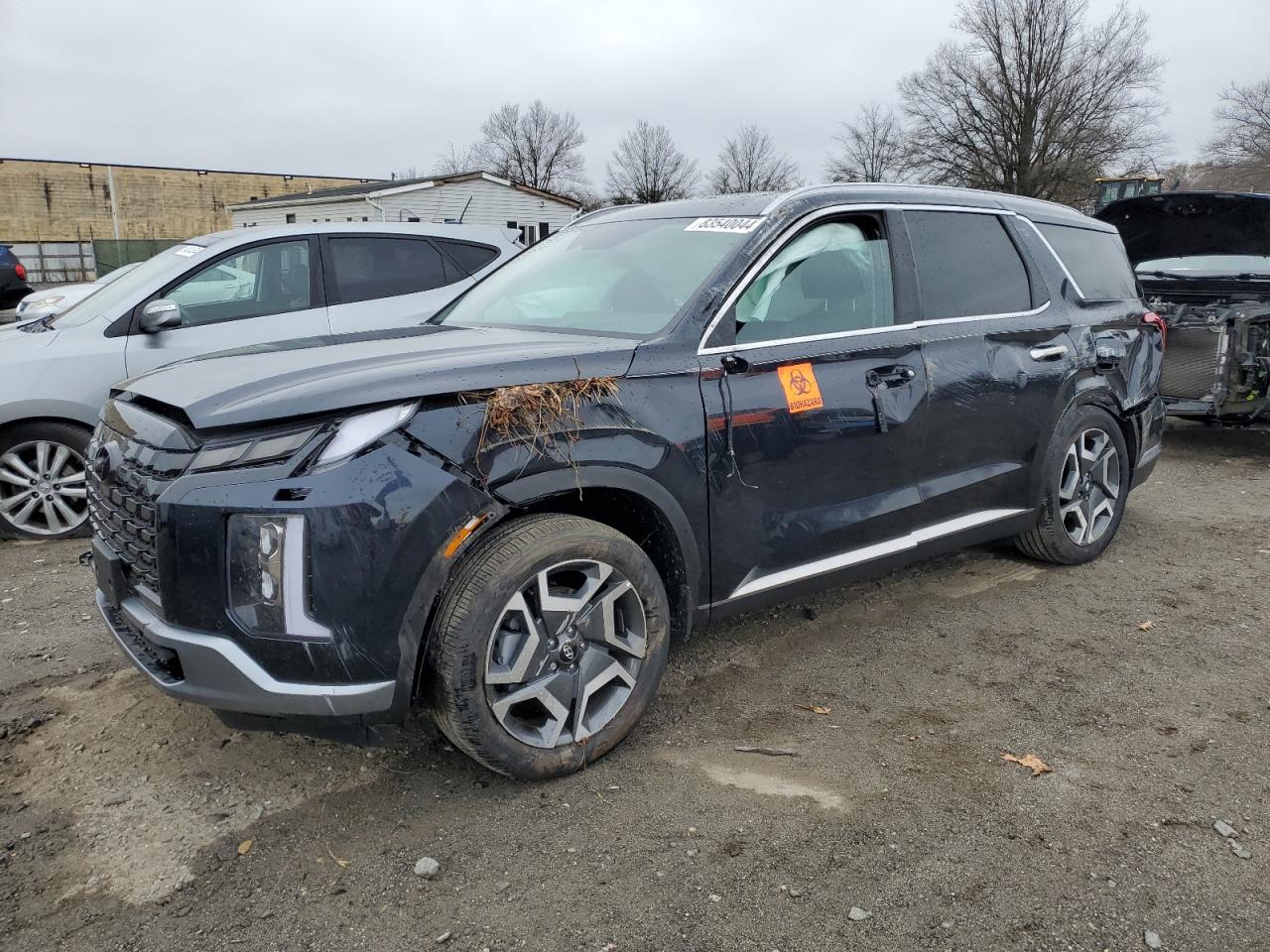 2024 Hyundai Palisade VIN KM8R5DGE0RU803751
