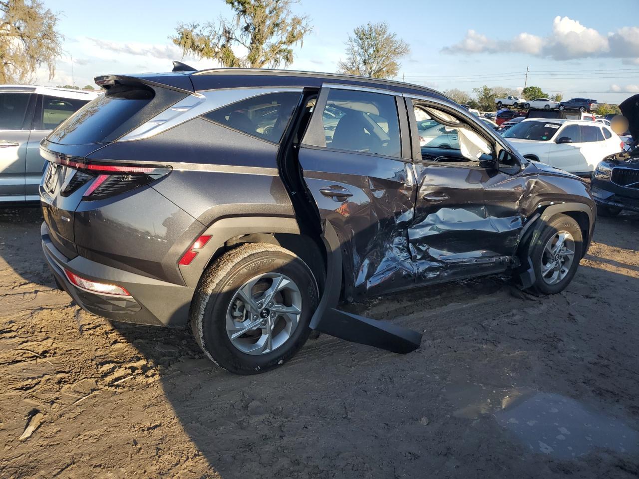 2023 Hyundai Tucson VIN 5NMJBCAE5PH203440 Copart auction photo, side / water/flood damage thumbnail 3