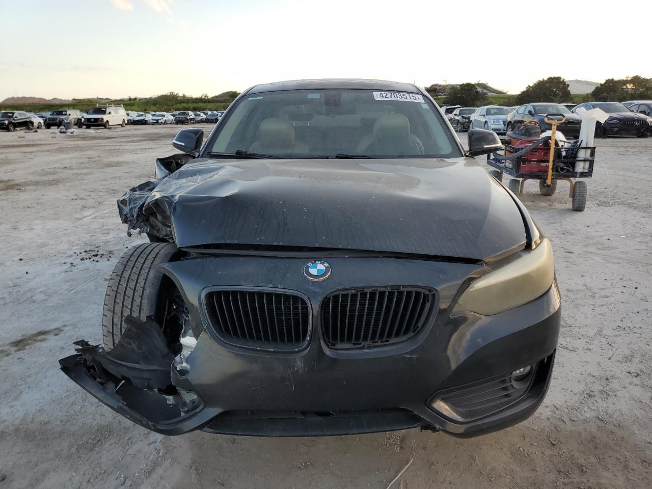2014 BMW 2er VIN WBA1F5C54EVV99497 Copart auction photo, front end / minor dent/scratches damage thumbnail 5