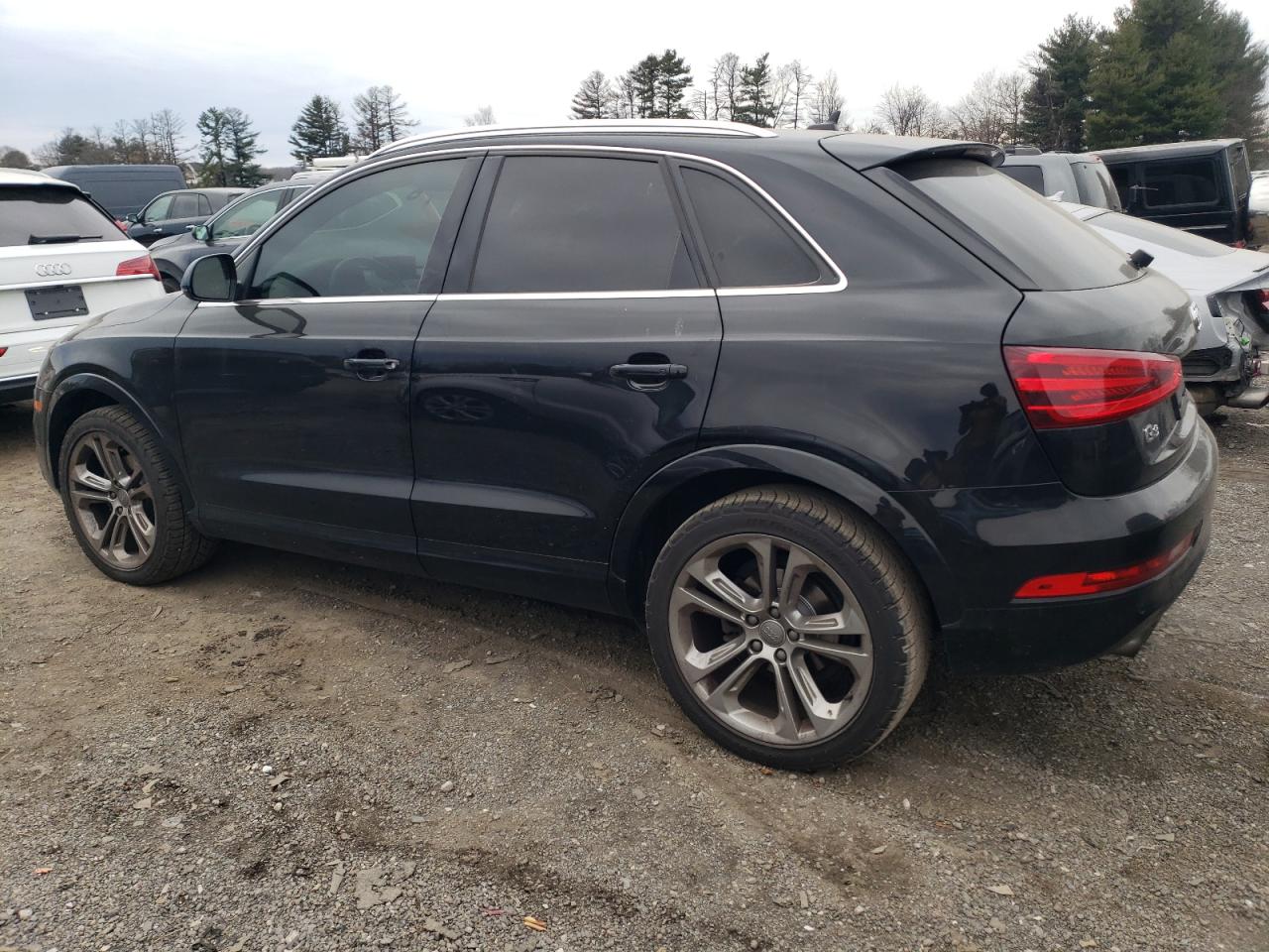 2015 Audi Q3 VIN WA1GFCFS7FR003855 Copart auction photo, side / minor dent/scratches damage thumbnail 2