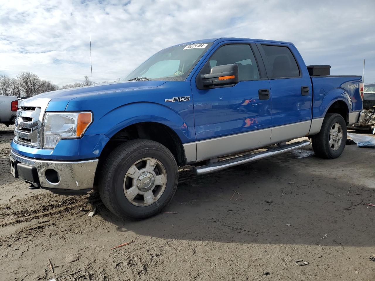 2010 Ford F-150 VIN 1FTFW1EV4AFD60051