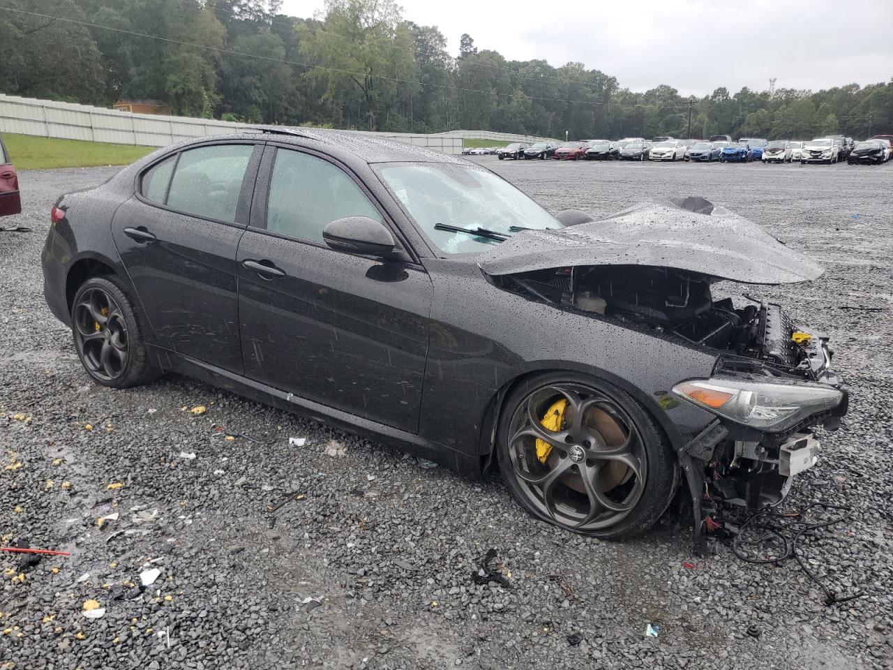 2019 Alfa Romeo Giulia VIN ZARFAMBN1K7607399 Copart auction photo, front end / rear end damage thumbnail 4