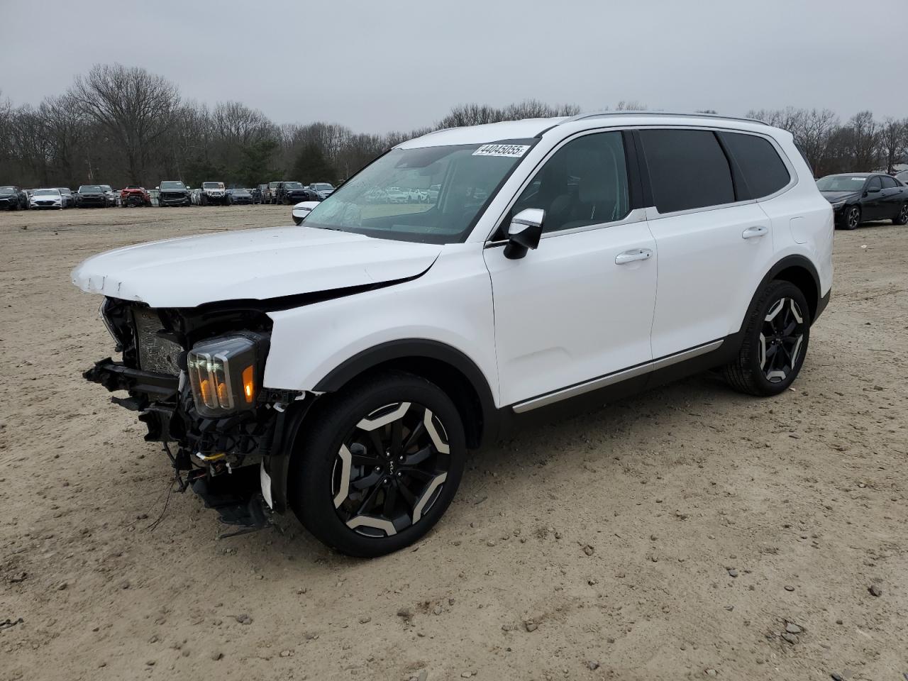 2024 KIA Telluride VIN 5XYP64GC9RG500914