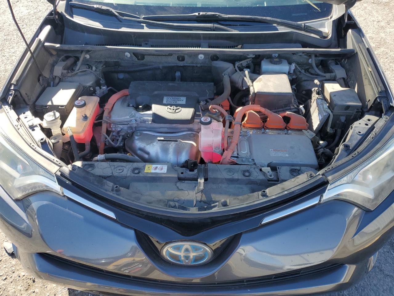 2017 Toyota RAV 4 VIN JTMRJREV4HD136701 Copart auction photo, rear end damage thumbnail 12