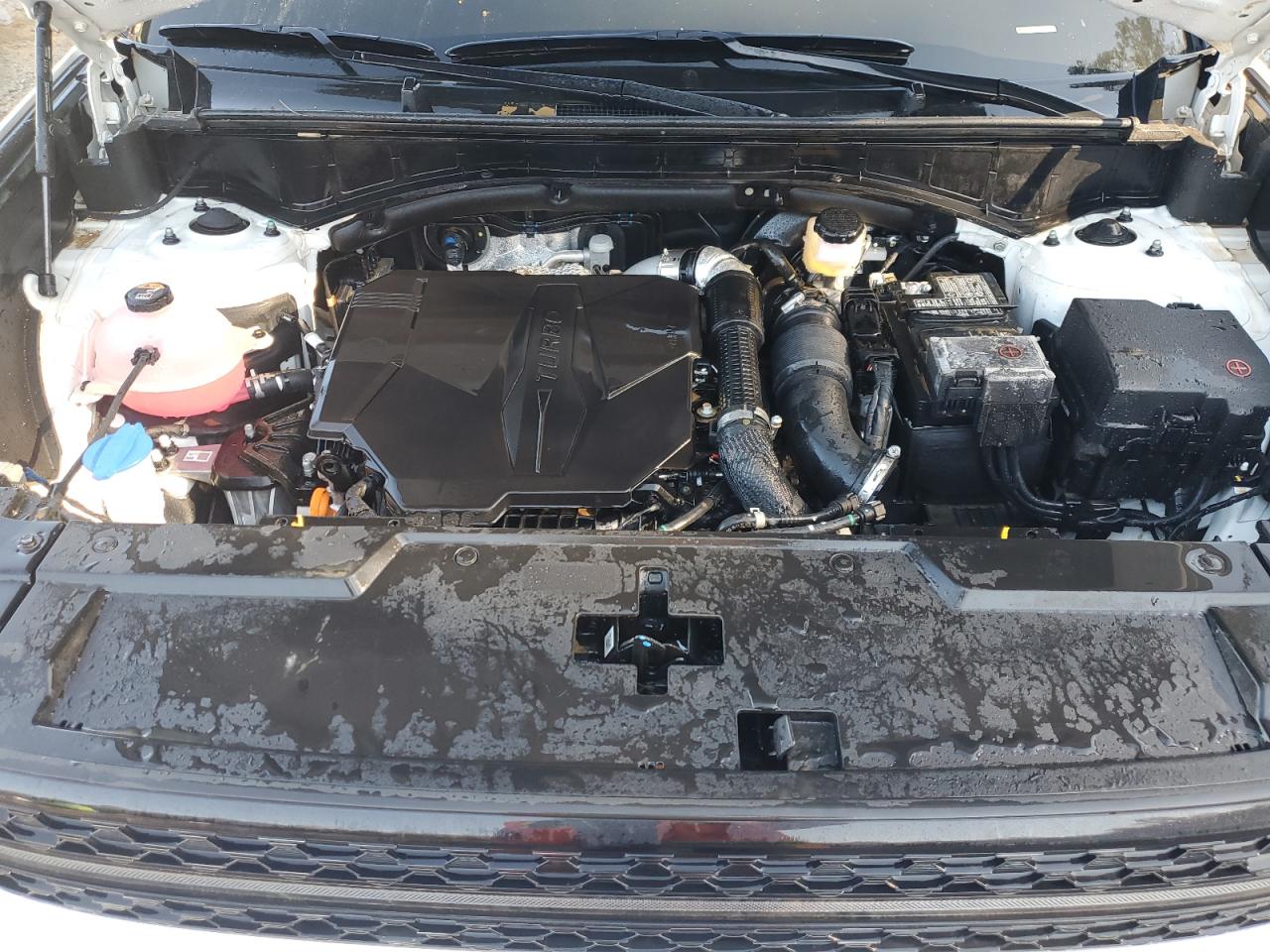 2024 Hyundai Santa Fe VIN 5NMP5DGL1RH043055 Copart auction photo, water/flood damage thumbnail 12
