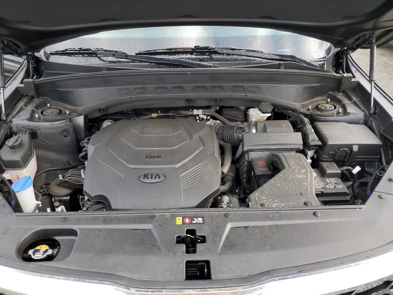 2021 KIA Telluride VIN 5XYP34HC3MG146730 Copart auction photo, side damage thumbnail 14