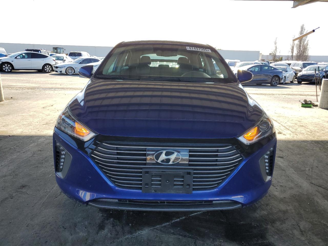 2019 Hyundai IONIQ VIN KMHC05LC6KU133062 Copart auction photo, side damage thumbnail 5