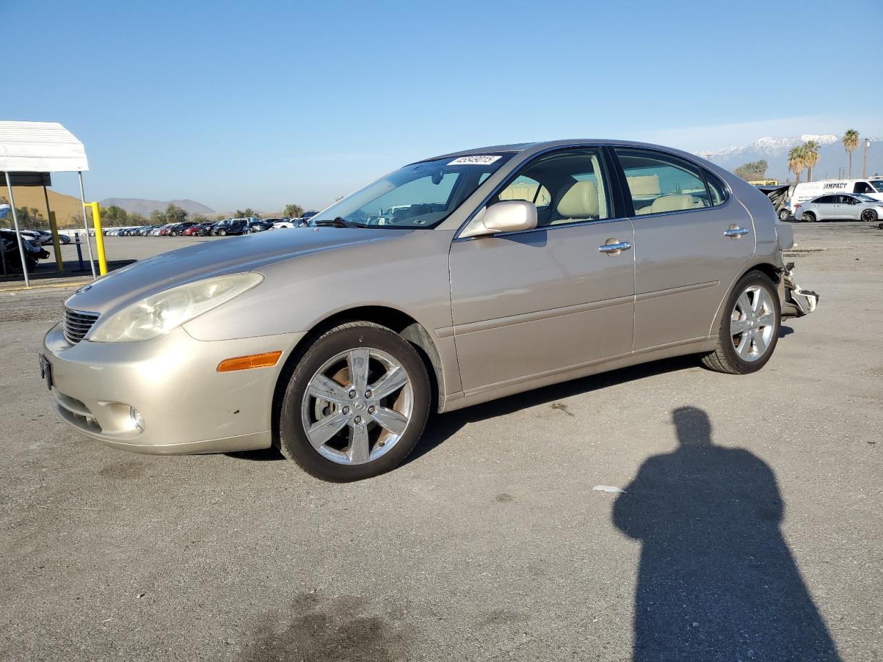 2005 Lexus ES VIN JTHBA30G655130765