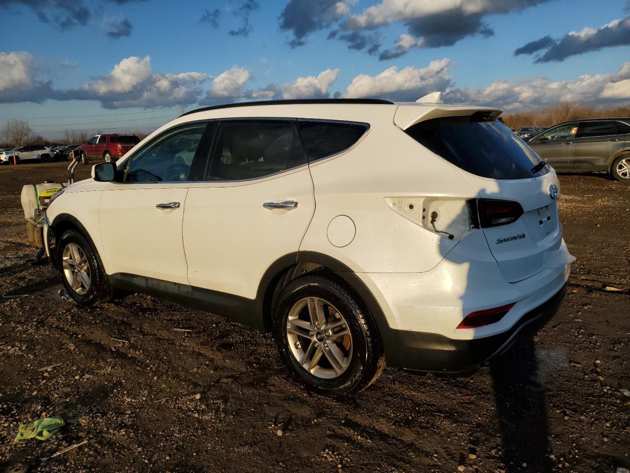 2017 Hyundai Santa Fe VIN 5NMZU3LB9HH000486 Copart auction photo, all over damage thumbnail 2