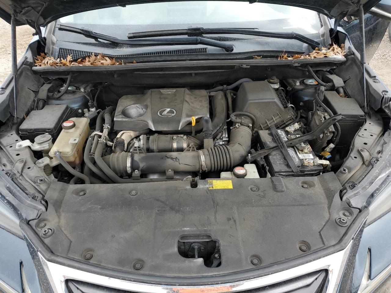 2015 Lexus NX VIN JTJYARBZ9F2008768 Copart auction photo, normal wear / side damage thumbnail 11