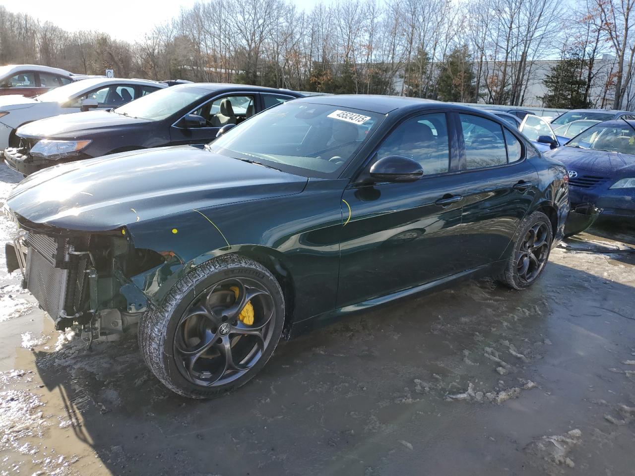 2021 Alfa Romeo Giulia VIN ZARFANBN2M7645829