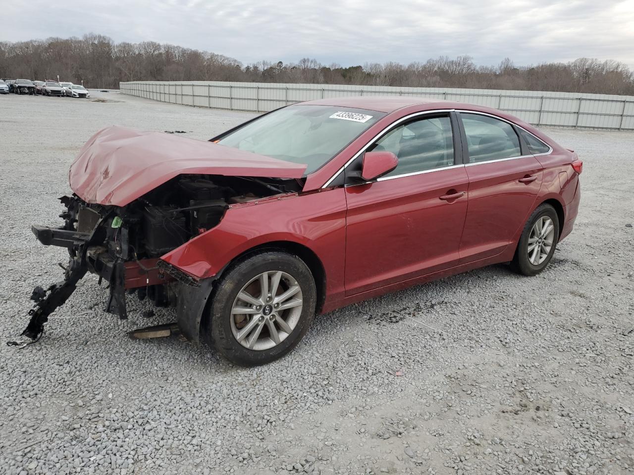 2016 Hyundai Sonata VIN 5NPE24AF7GH320021
