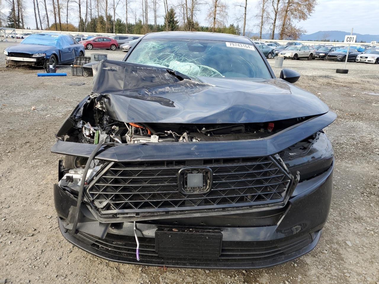 2024 Honda Accord VIN 1HGCY2F5XRA003680 Copart auction photo, front end damage thumbnail 5