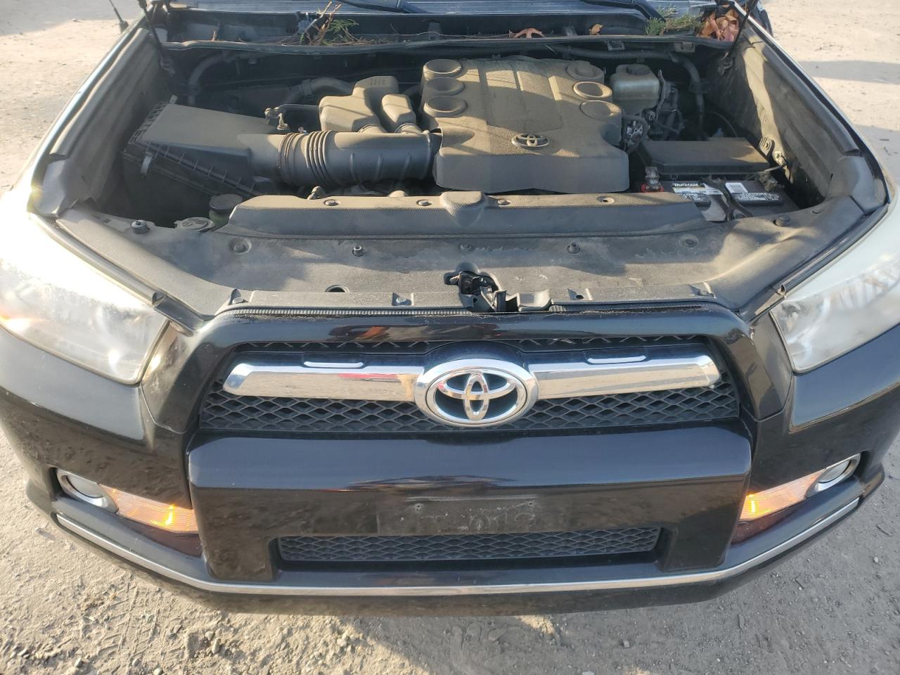 2010 Toyota 4Runner VIN JTEBU5JR5A5008988 Copart auction photo, rear end / side damage thumbnail 12