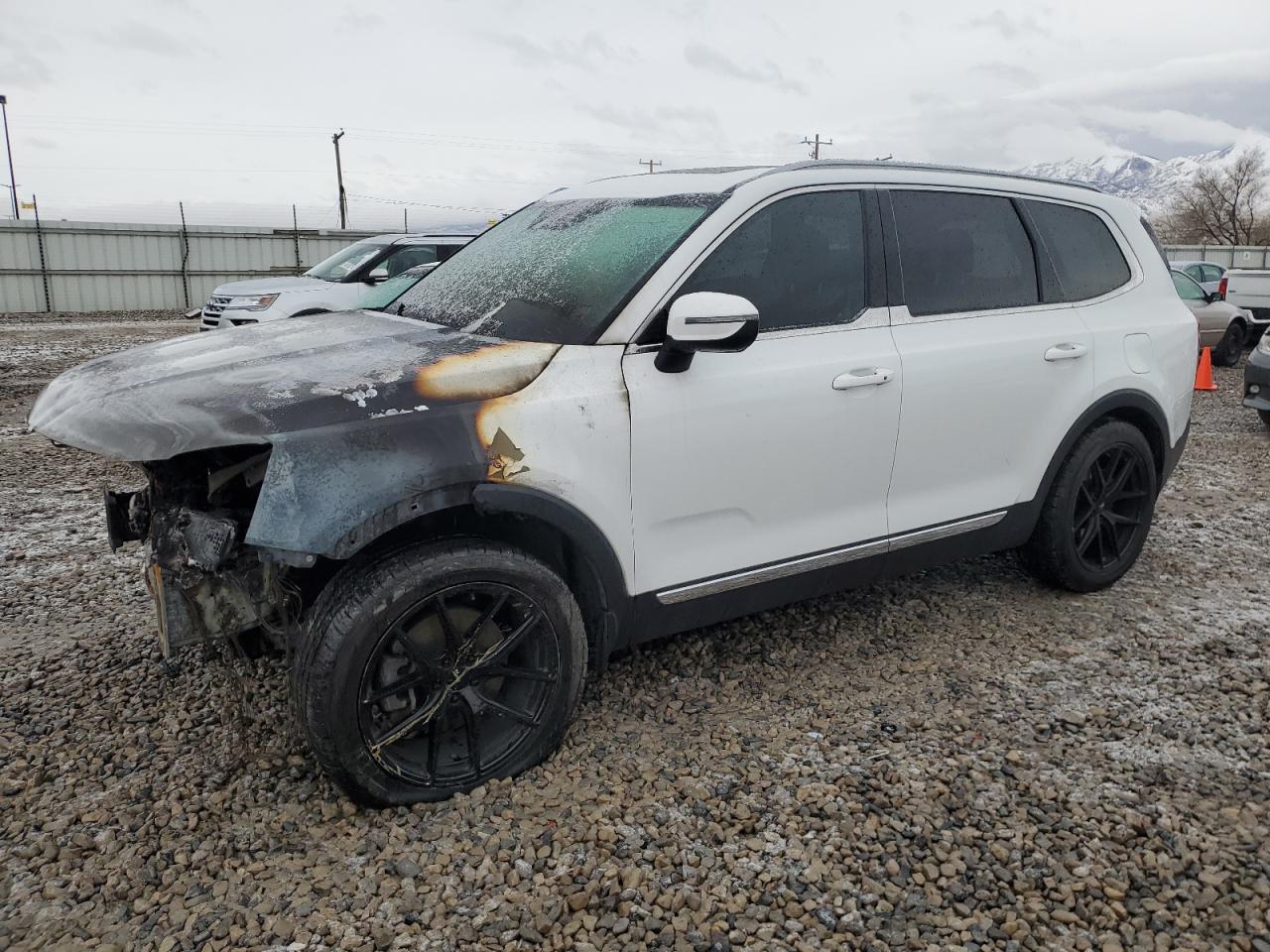 2020 KIA Telluride VIN 5XYP3DHC1LG078474 - Copart auction photo