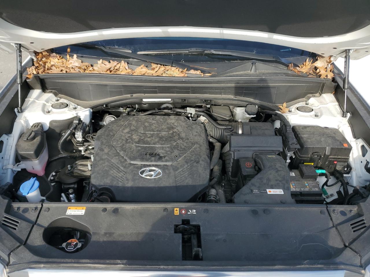 2023 Hyundai Palisade VIN KM8R74GE9PU589575 Copart auction photo, side / frame damage damage thumbnail 11