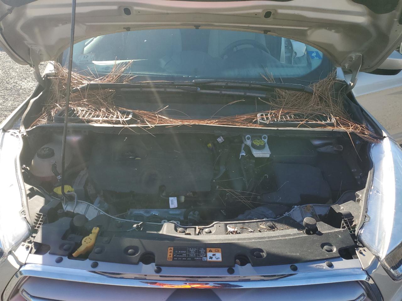 2018 Ford Escape VIN 1FMCU9GD8JUD06416 Copart auction photo, water/flood / rear end damage thumbnail 12