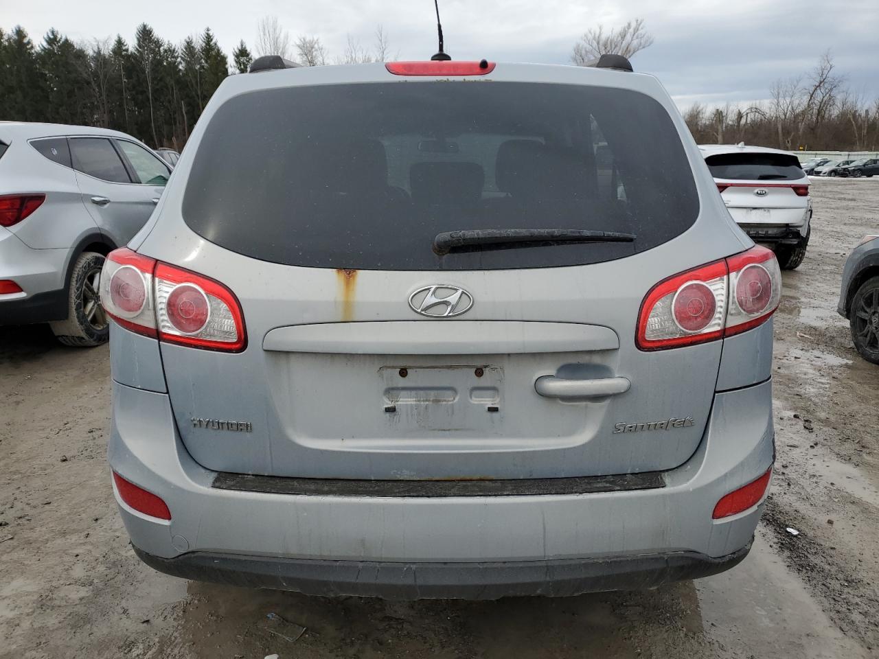 2010 Hyundai Santa Fe VIN 5NMSG3AB3AH400819 Copart auction photo, side / rear end damage thumbnail 6