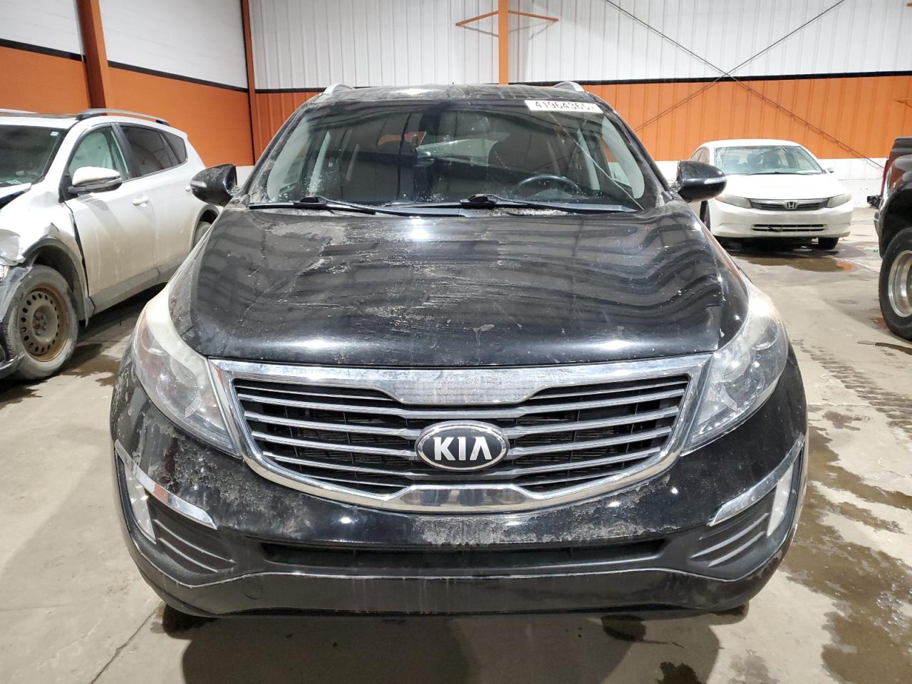 2013 KIA Sportage VIN KNDPCCA25D7451011 Copart auction photo, normal wear / minor dent/scratches damage thumbnail 5