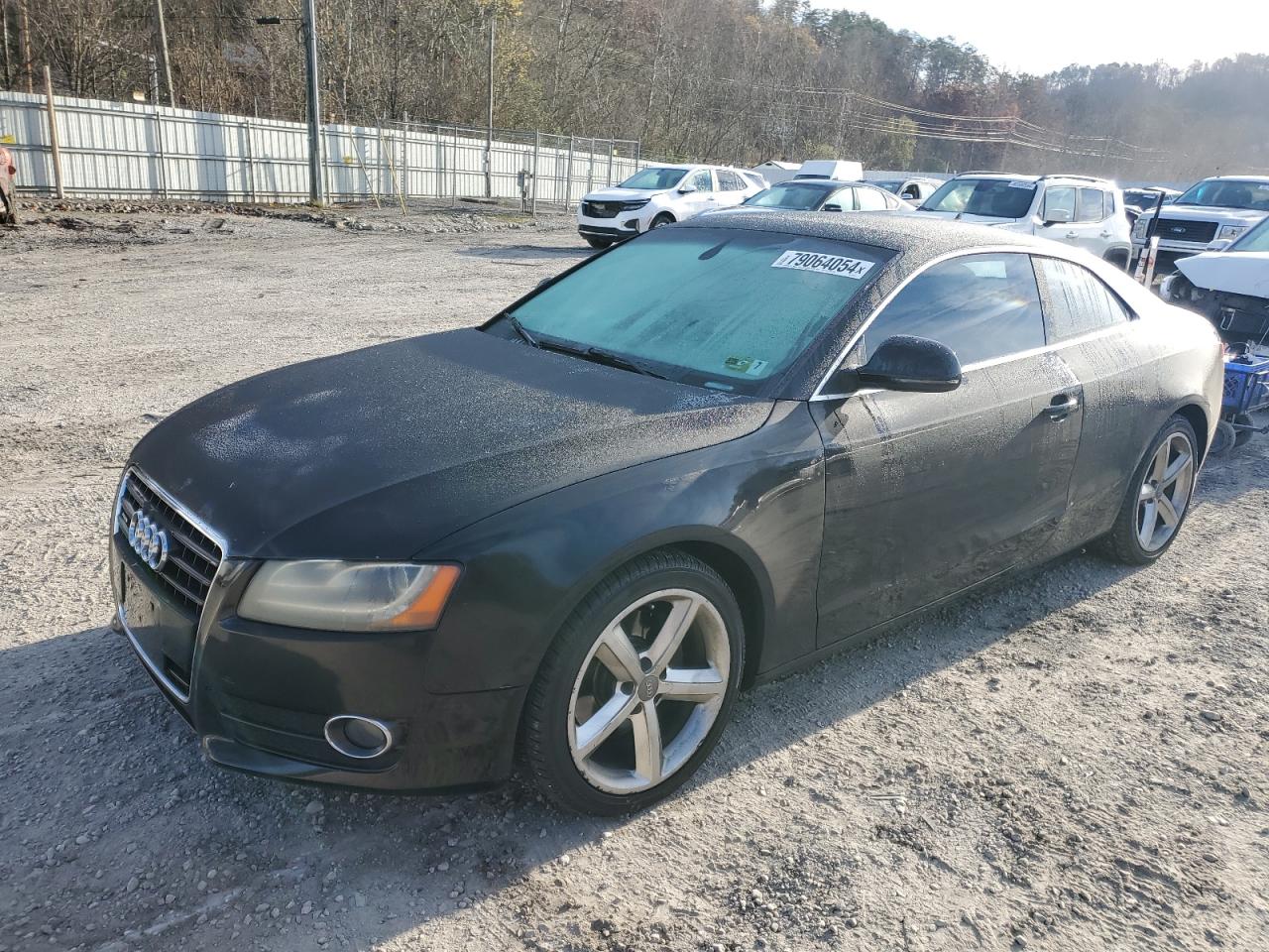 2009 Audi A5 VIN WAUDK78T39A019441 - Copart auction photo
