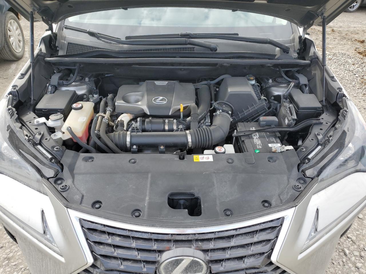 2018 Lexus NX VIN JTJBARBZ3J2150788 Copart auction photo, side damage thumbnail 13