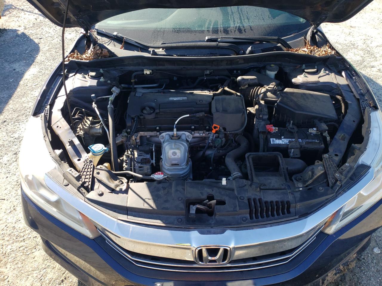 2016 Honda Accord VIN 1HGCR2F31GA146770 Copart auction photo, minor dent/scratches damage thumbnail 11