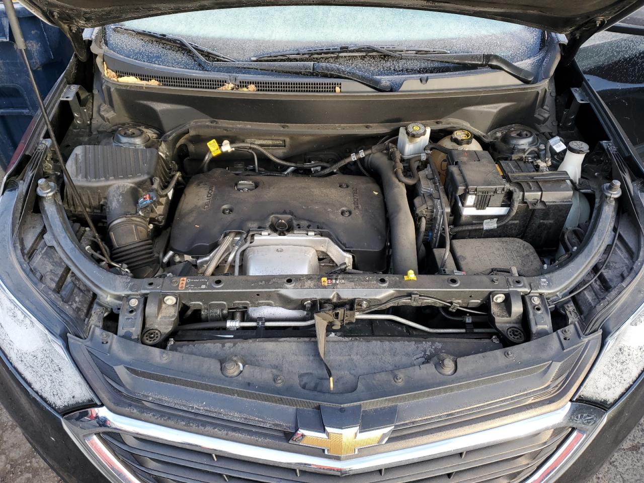 2019 Chevrolet Equinox VIN 3GNAXVEX7KL136044 Copart auction photo, side damage thumbnail 12