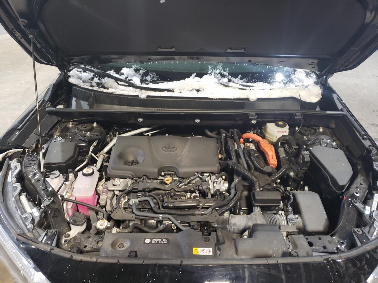 2023 Toyota RAV 4 VIN 4T3MWRFV5PU095409 Copart auction photo, front end damage thumbnail 13