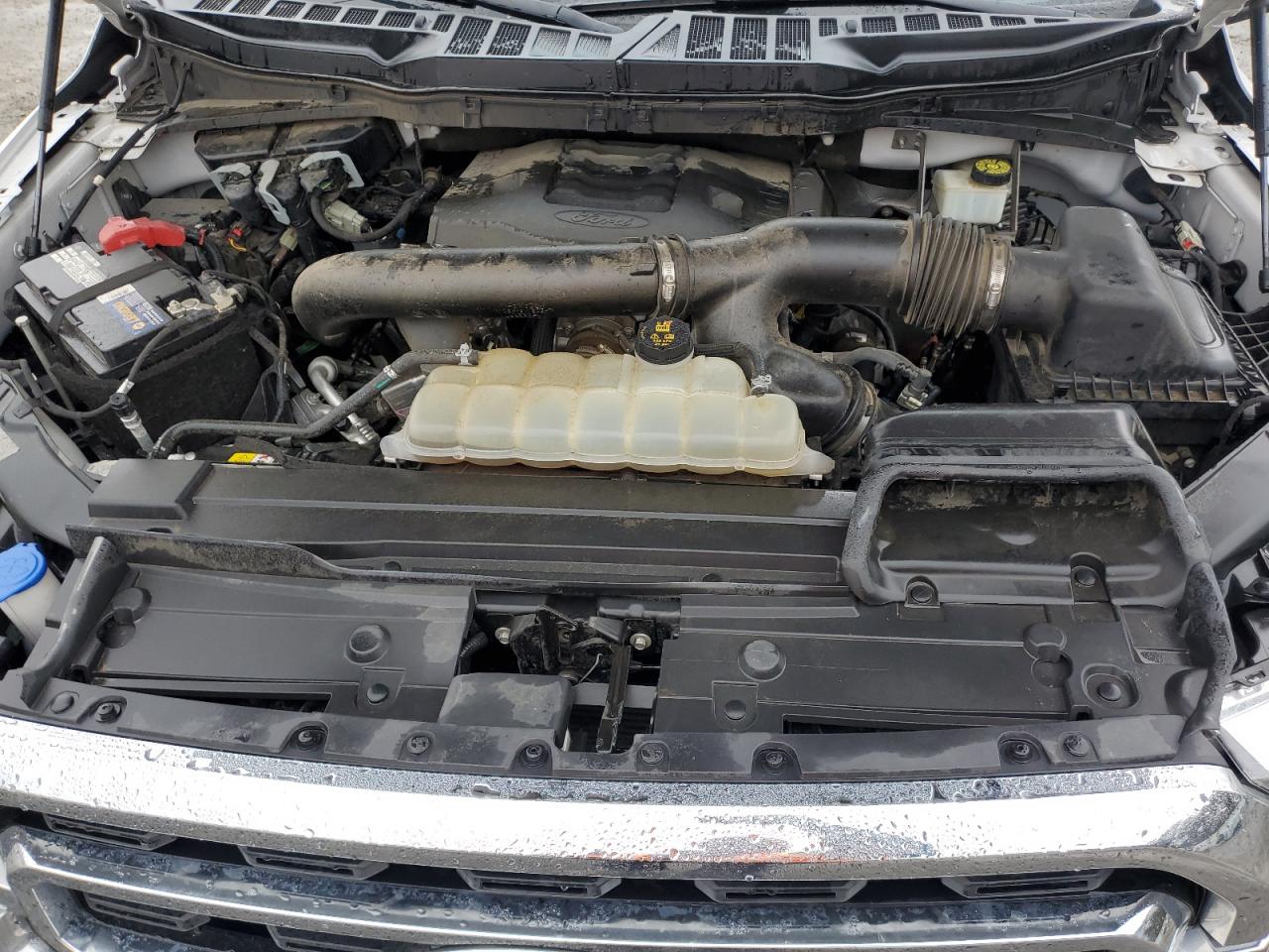 2021 Ford F-150 VIN 1FTFW1E83MFA45644 Copart auction photo, front end / rear end damage thumbnail 11