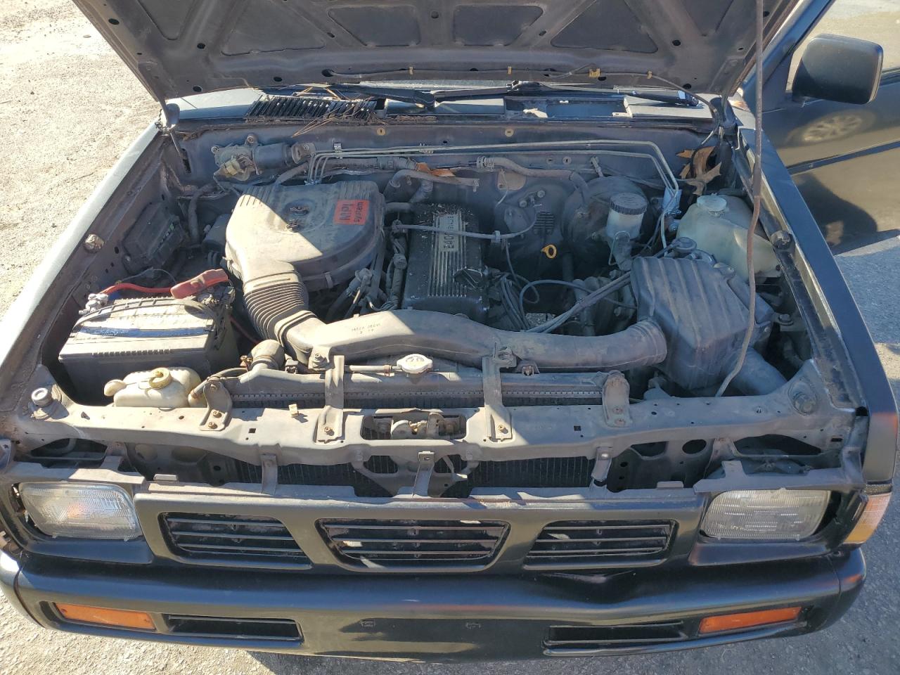 1993 Nissan Navara (Frontier) VIN 1N6SD11S1PC320341 Copart auction photo, side damage thumbnail 11