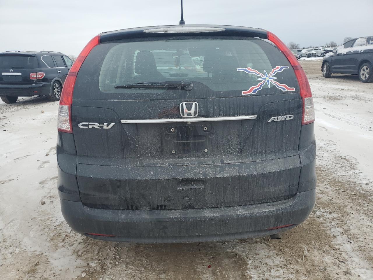 2014 Honda CR-V VIN 5J6RM4H3XEL041401 Copart auction photo, rear end / side damage thumbnail 6