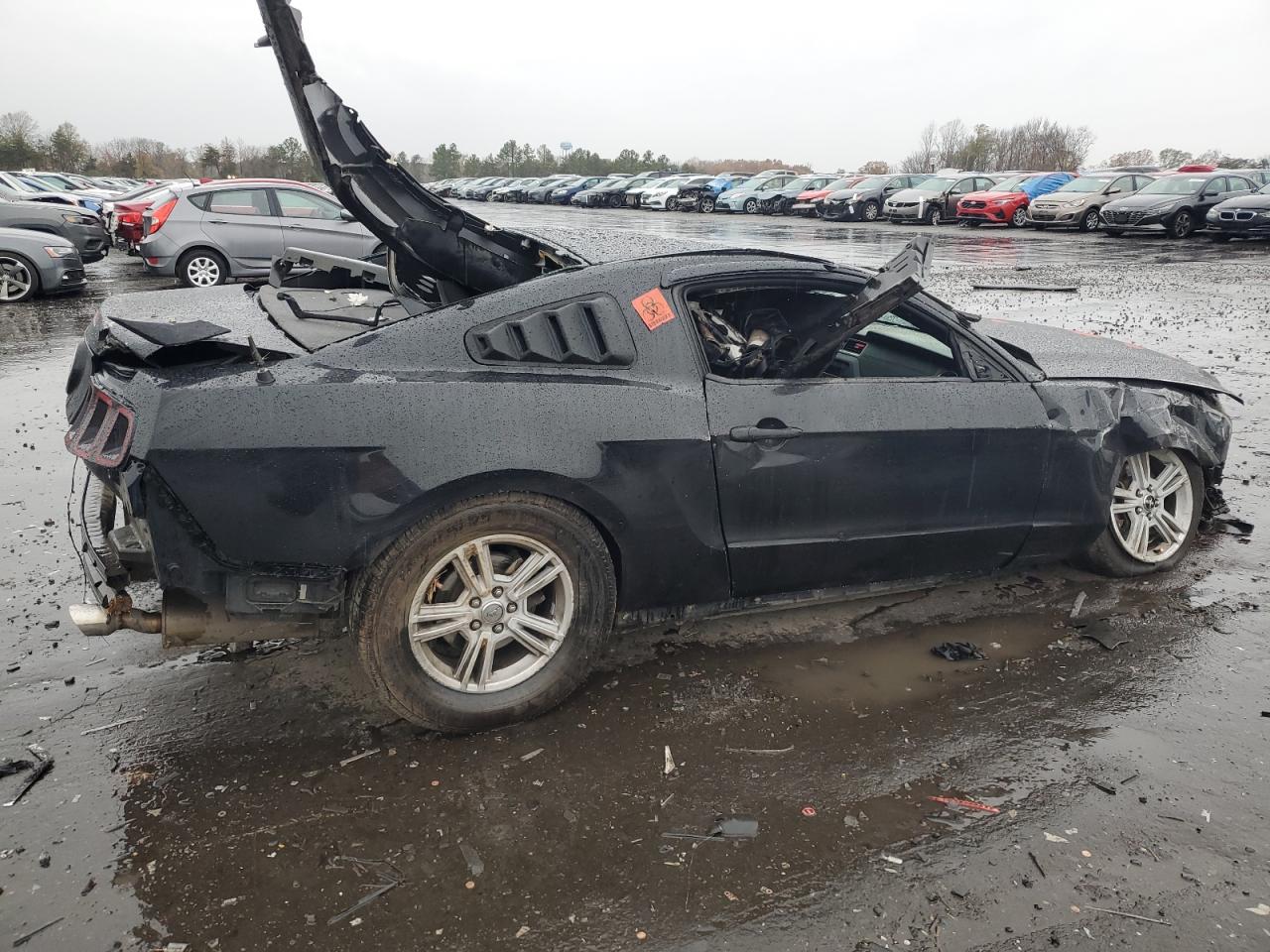 2013 Ford Mustang VIN 1ZVBP8AM5D5261098 Copart auction photo, all over damage thumbnail 3